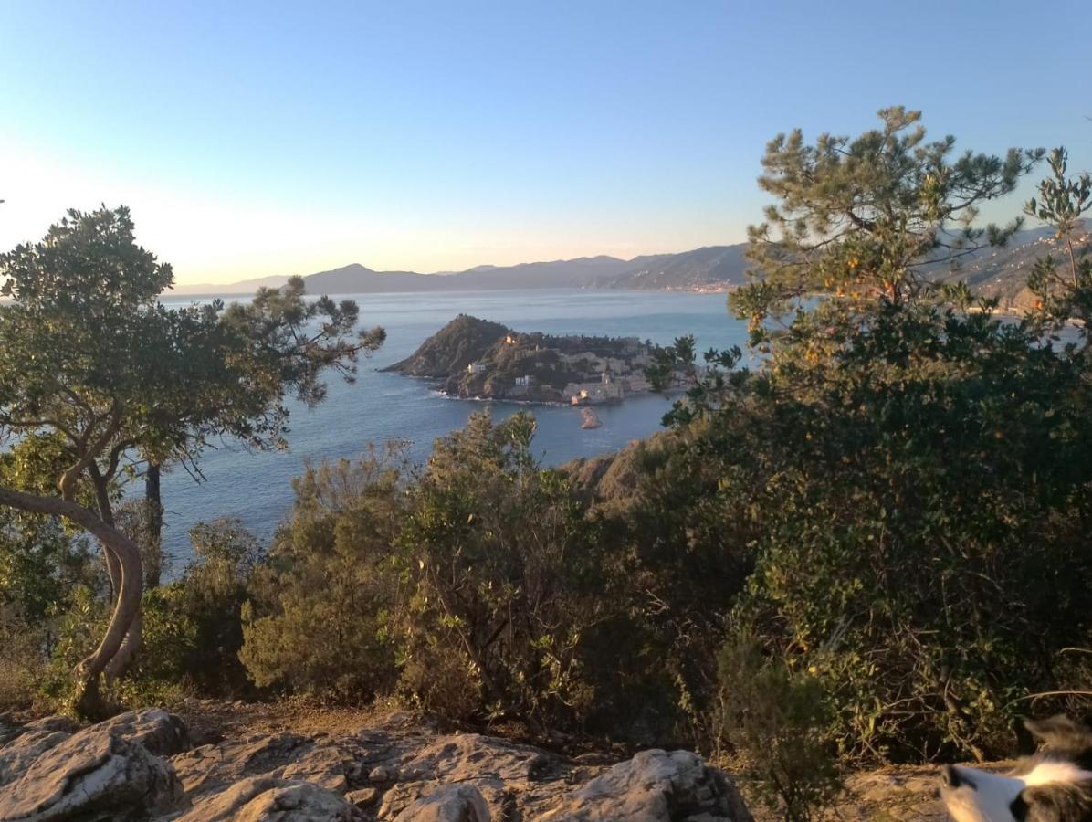 Casa Caterina Setri Levante Σέστρι Λεβάντε Εξωτερικό φωτογραφία